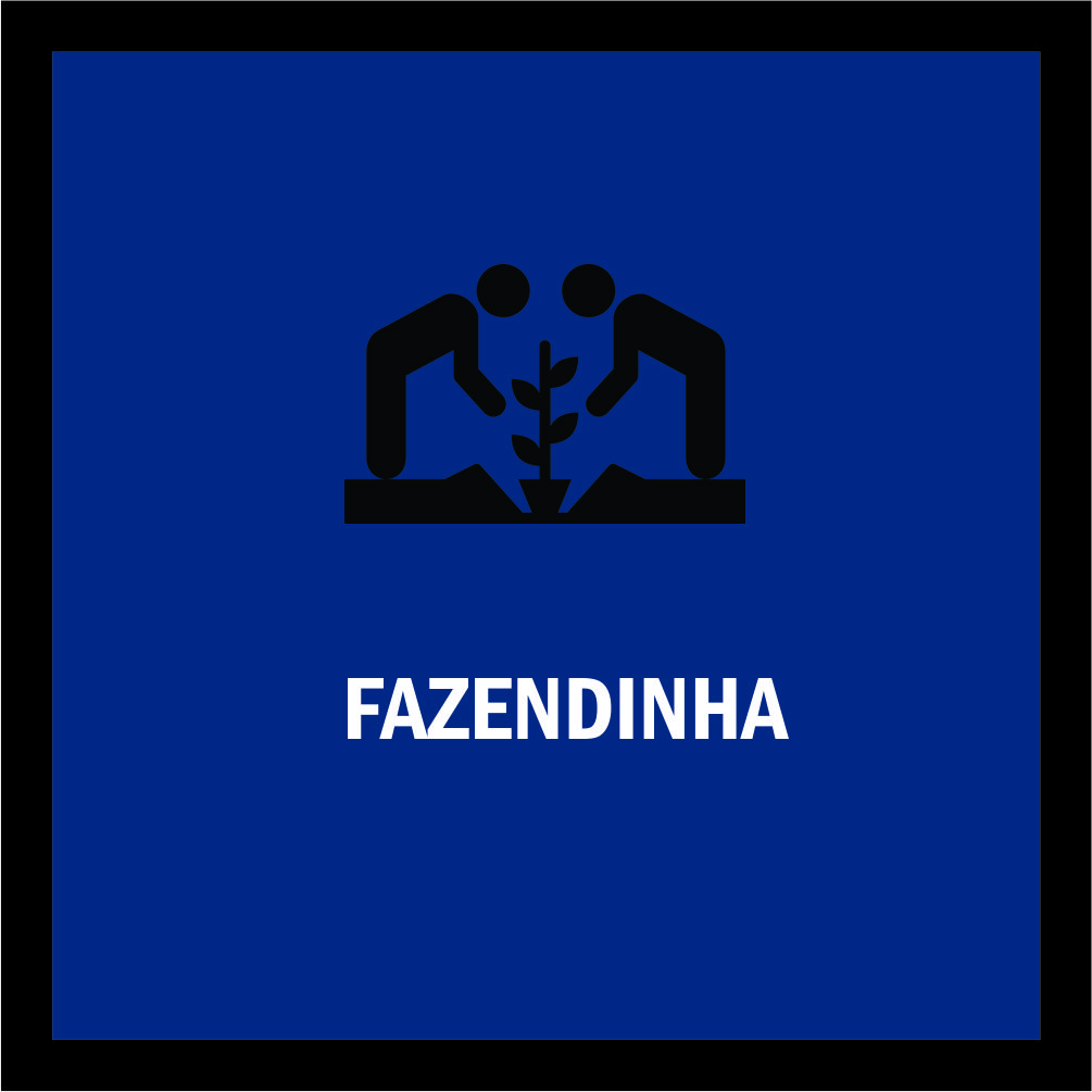 20190227 fazendinha